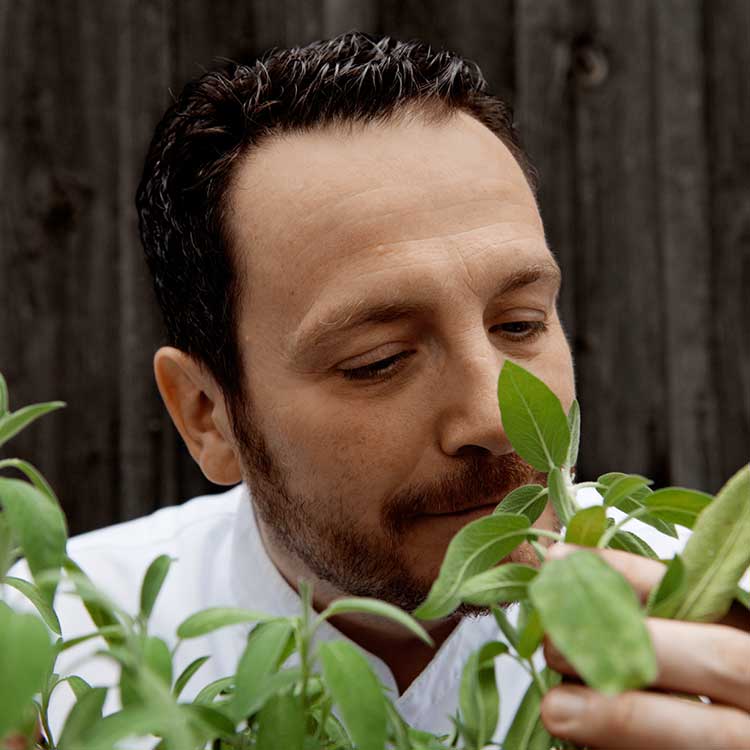 Andreas Hillejan